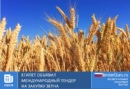 Египет объявил международный тендер на закупку зерна