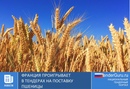 Франция проигрывает в тендерах на поставку пшеницы