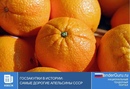 Самые дорогие апельсины в истории