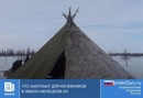 Что закупают для кочевников в Ямало-Ненецком АО
