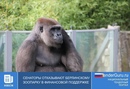 Сенаторы отказывают Берлинскому зоопарку в финансовой поддержке