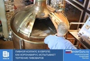 Пивной коллапс в Европе: как коронавирус испытывает терпение пивоваров