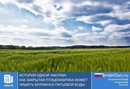 Как закрытая птицефабрика может лишить Мурманск питьевой воды