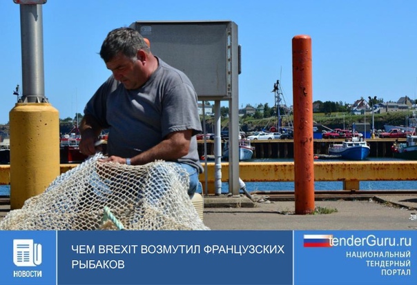  Brexit   