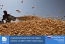 Индия планирует поставку более 1,5 тонн пшеницы